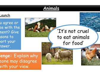 The use and abuse of animals