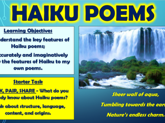 Limericks and Haikus Big Bundle! | Teaching Resources