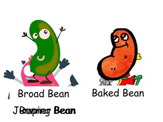 Bean Game Flash Cards