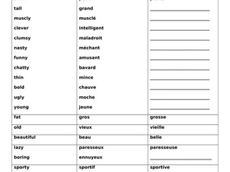 describing people adjectives masculine and feminine