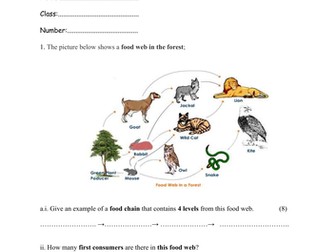 Food web-Food chain quiz