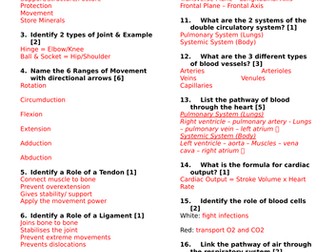 New OCR GCSE PE Revision - PE Challenge