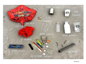 Plastic and its effects on the marine environment