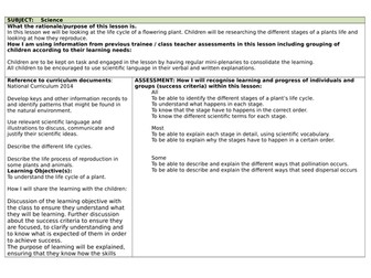 Flowering Plants Life Cycle complete lesson