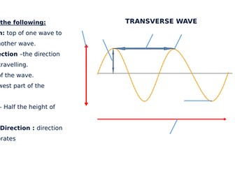 Transverse & Longitudinal Wave Diagram Label Worksheets (Differentiated)