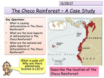A Tropical Rainforest - The Choco Rainforest