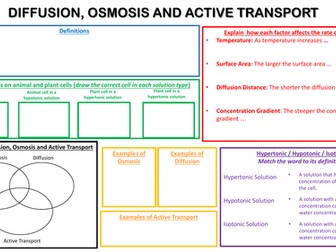 GCSE Diffusion Osmosis and Active Transport Learning Mat