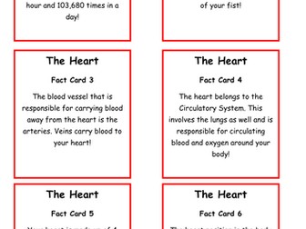 Heart - Circulatory System - Scavenger Hunt