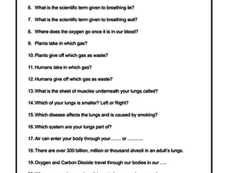 Lungs - Respiratory System - Scavenger Hunt