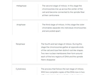 Mitosis Match-Up