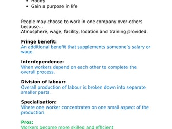 AQA GCSE ECONOMICS UNIT 11: Work revision notes
