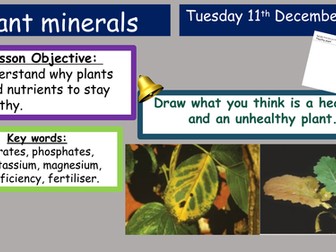 KS3 Activate Plant Minerals