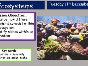 KS3 Activate Ecosystems