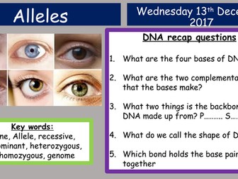 Edexcel GCSE Genetics - Alleles