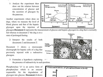 exercises for glycemia