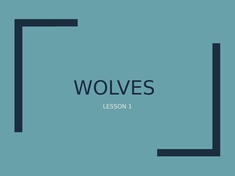 Year 7 Wolves themed work