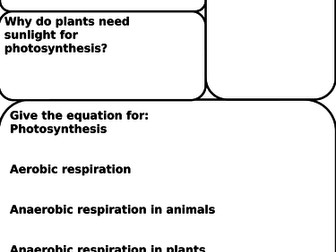 Photosynthesis and Respiration Worksheet