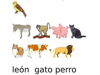 Matching animal pictures to spanish vocabulary
