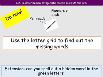 Antagonistic muscle pairs