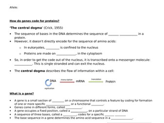 Genetic Code (New AQA spec)