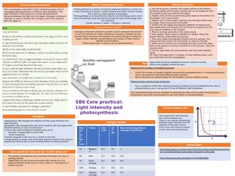 Edexcel core practical- Light intensity and rate of photosynthesis
