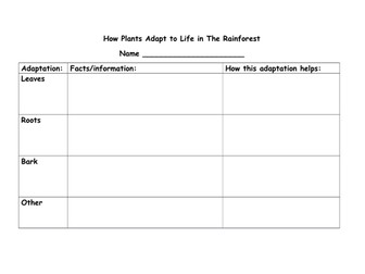 Tropical rainforests: plant adaptations worksheet