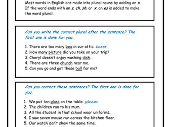 NOUNS - Singular & Plural | Teaching Resources