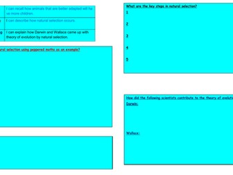 Genetics revision mats (Activate KS3)