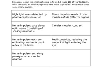 Pupil response - reflex arc card sort SNAB Biology