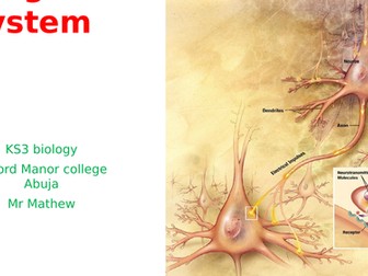 organ system
