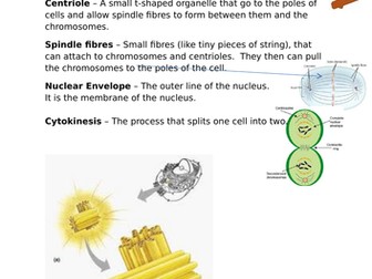 Mitosis - AQA Unit 1 Cells Lesson