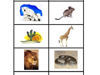 Adaptations Tricks Game