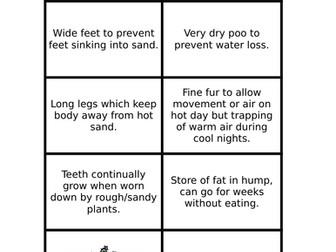 IPC Extreme Survivors tricks game