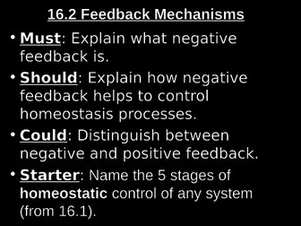 New AQA  A'level Biology _Homeostasis_Feedback mechanisms_Lesson 2