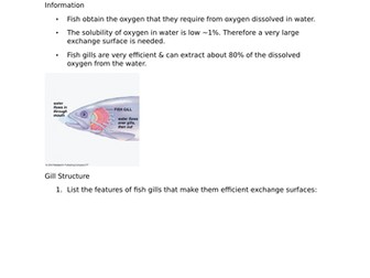 Gas Exchange in Fish