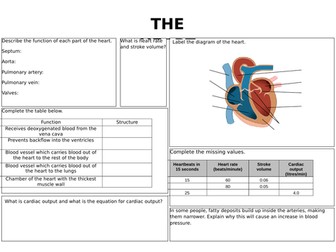 Heart KS4