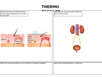 Thermoregulation and osmoregulation