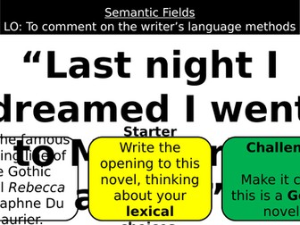 Semantic Fields - Rebecca