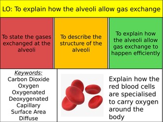 Breathing and Gas Exchange