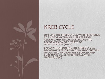 Kreb Cycle | Cirtric Acid cycle