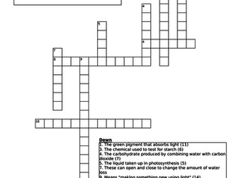 Testing a Leaf for Starch