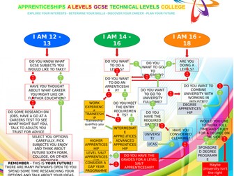 1m x 1m Careers and futher education routes poster for whole school displays - fully editable