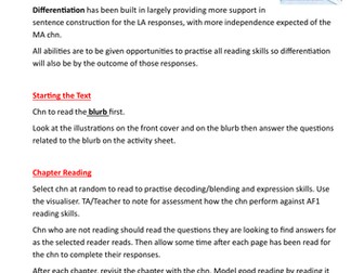 Year 2 Year 3 Red Eyes at Night Michael Morpurgo Complete set of Reading activities