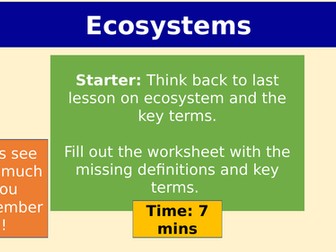 Freshwater pond ecosystem