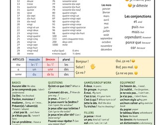 French BASICS Language Mat