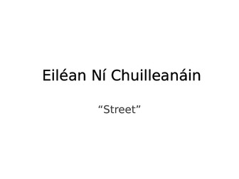 Eiléan Ní Chuilleanáin "Street". Summary and analysis.
