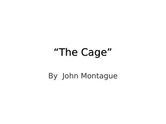 John Montague. Summary and analysis of 6 poems.