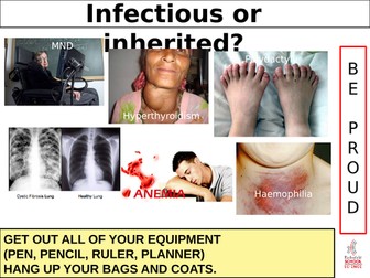 More about genetics