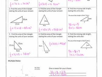 Area of a Triangle Homework with Answers