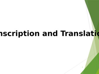 Transcription, Translation, DNA replication A-Level Biology Tutoring lesson